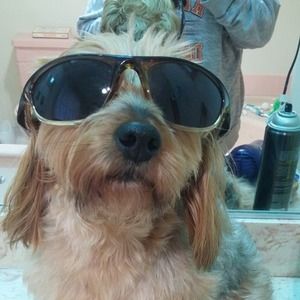 Meet your Posher, Patty